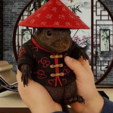 OG Pnut Mascot